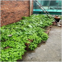 파주폐기물처리-5677362